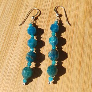 Jay King DTR Neon Blue Apatite 925 Sterling Silver Dangle Drop Earrings